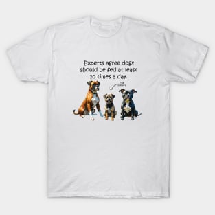 Experts agree dogs should be fed at least 10 times a day - funny watercolour dog design T-Shirt